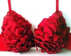 red-rose-diy-bra-for-v-day-brides__full-300x237_preview